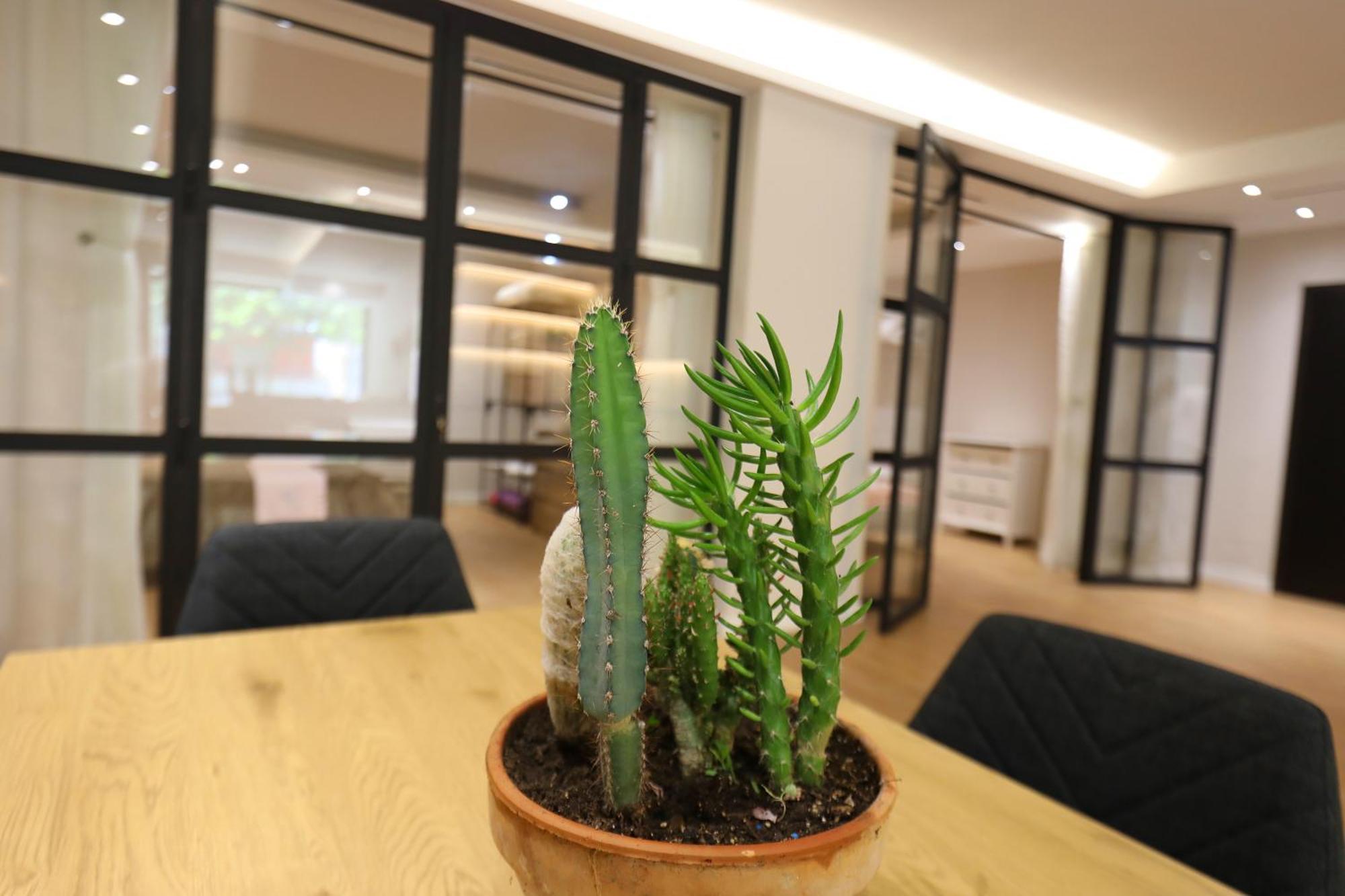 Vlorë Amantia Apartment מראה חיצוני תמונה